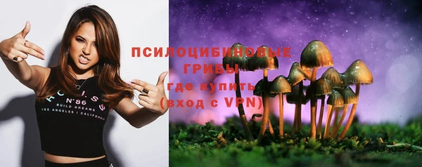 хмурый Верхний Тагил