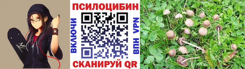 Псилоцибиновые грибы мицелий  Новоржев 